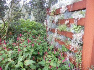 Corten's wall