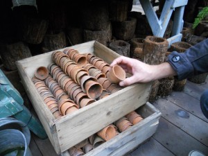 Selection of vases